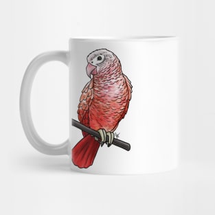Bird - African Grey Parrot - Pink Mug